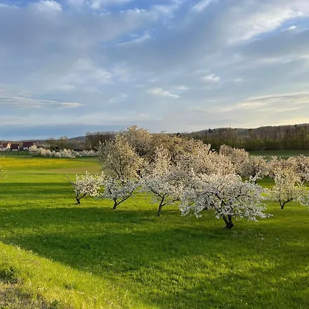 Holzferienhaus Holiday home