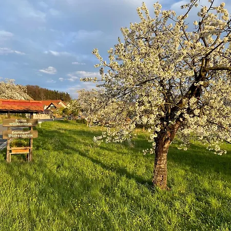 Holzferienhaus Goessweinstein