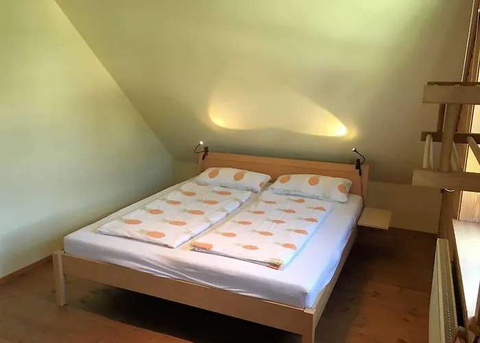 Holzferienhaus بيت للعطل غوسوينستين