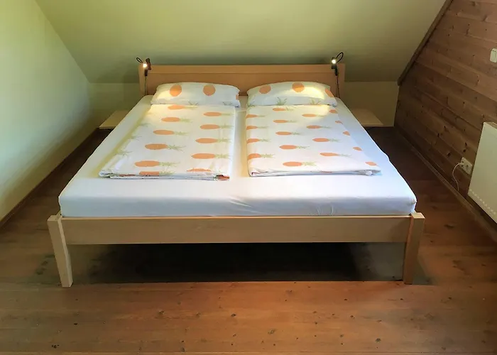 بيت للعطل Holzferienhaus غوسوينستين