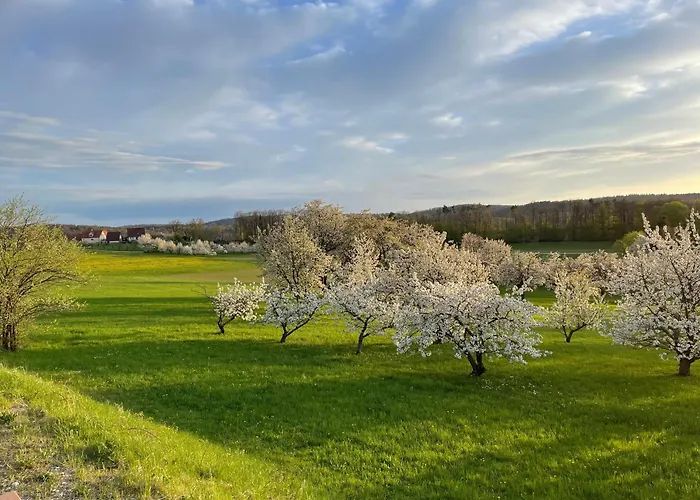 Holzferienhaus Nyaraló