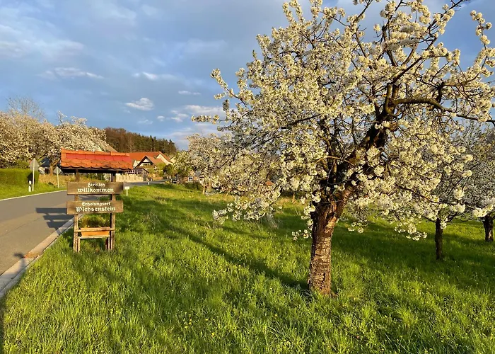Holzferienhaus Goessweinstein