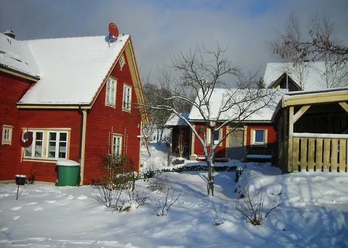 بيت للعطل Holzferienhaus غوسوينستين